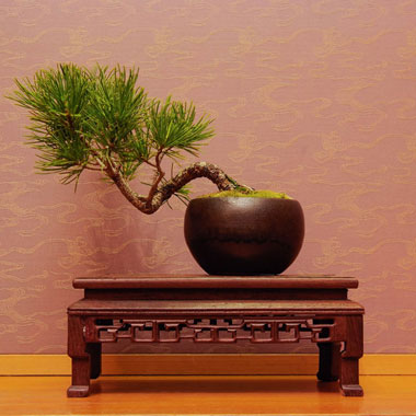 Ryokan Asakusa Shigetsu Ryokan Interior