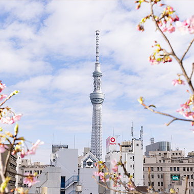 旅館浅草指月 お風呂